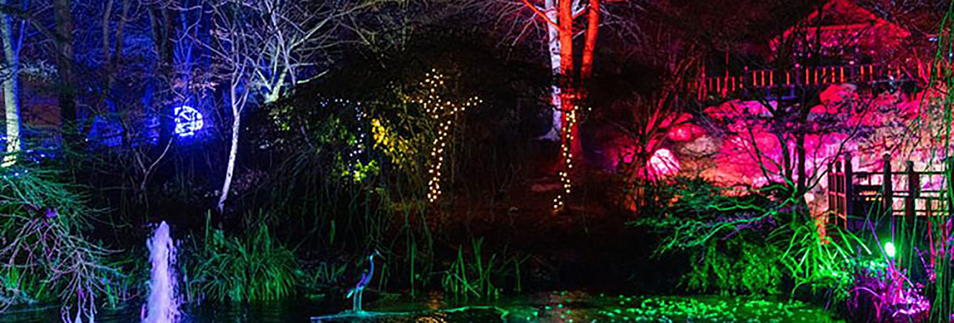 Festive Gardens 2025