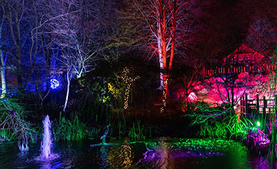 Festive Gardens 2025