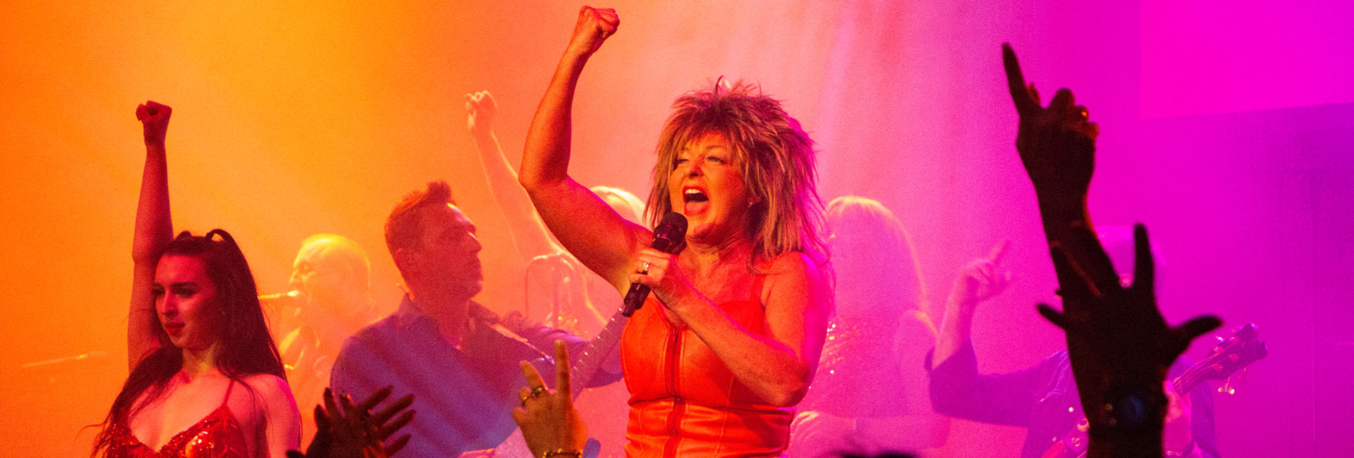 Tina Live – The Tina Turner Experience