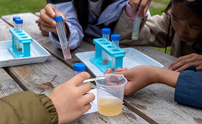 Eco-Detectives