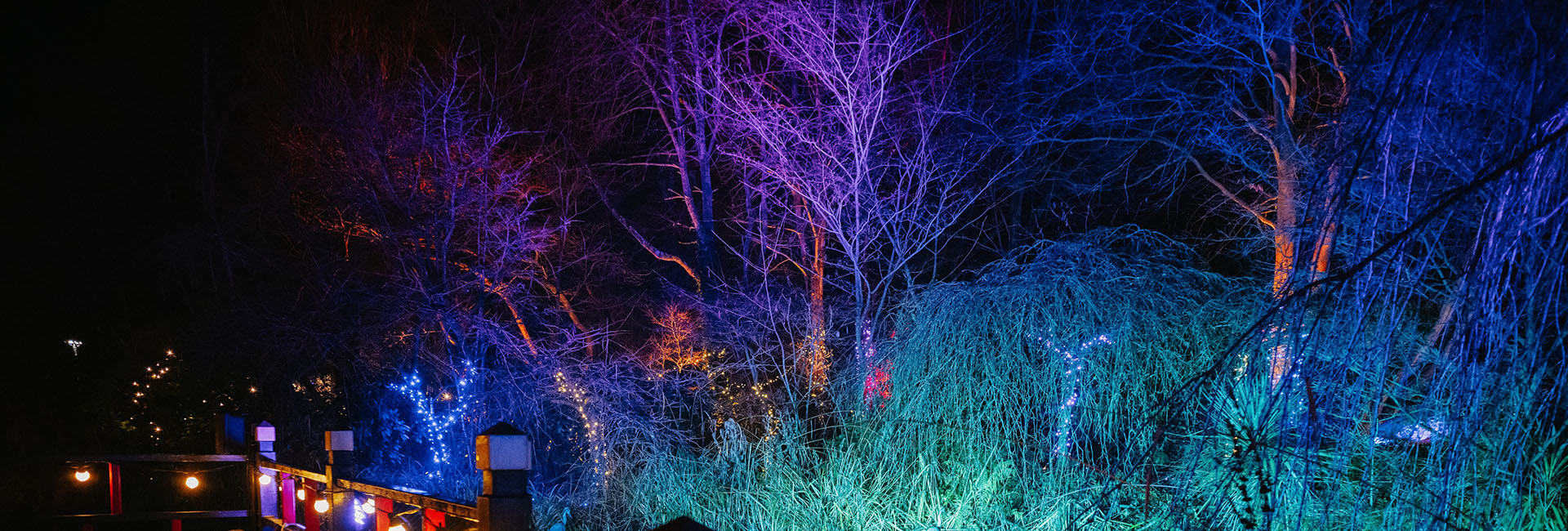 Festive Gardens