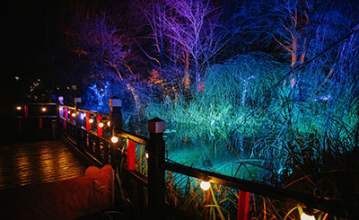 Festive Gardens