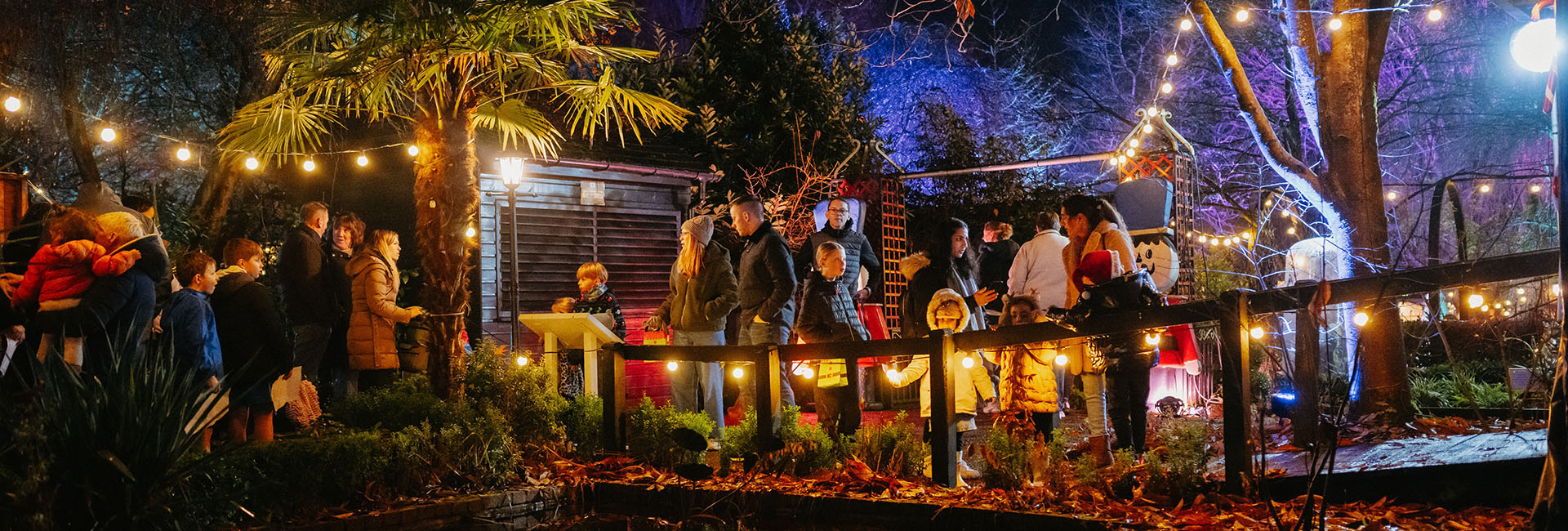 Festive Gardens SEN Night